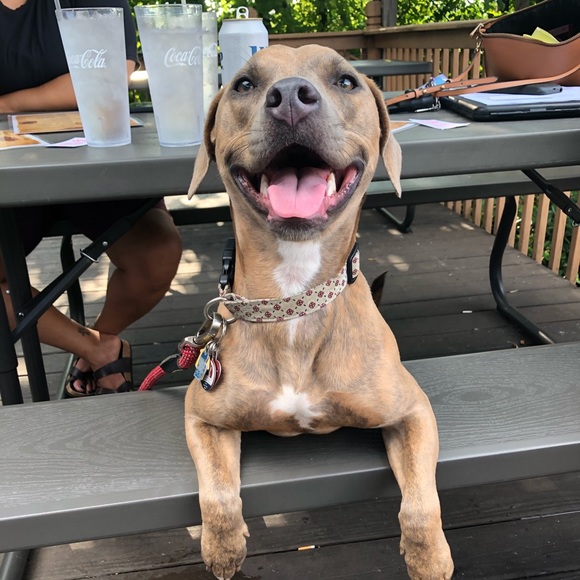 Meet your Posher, Kelsey - Picture 1 of 1